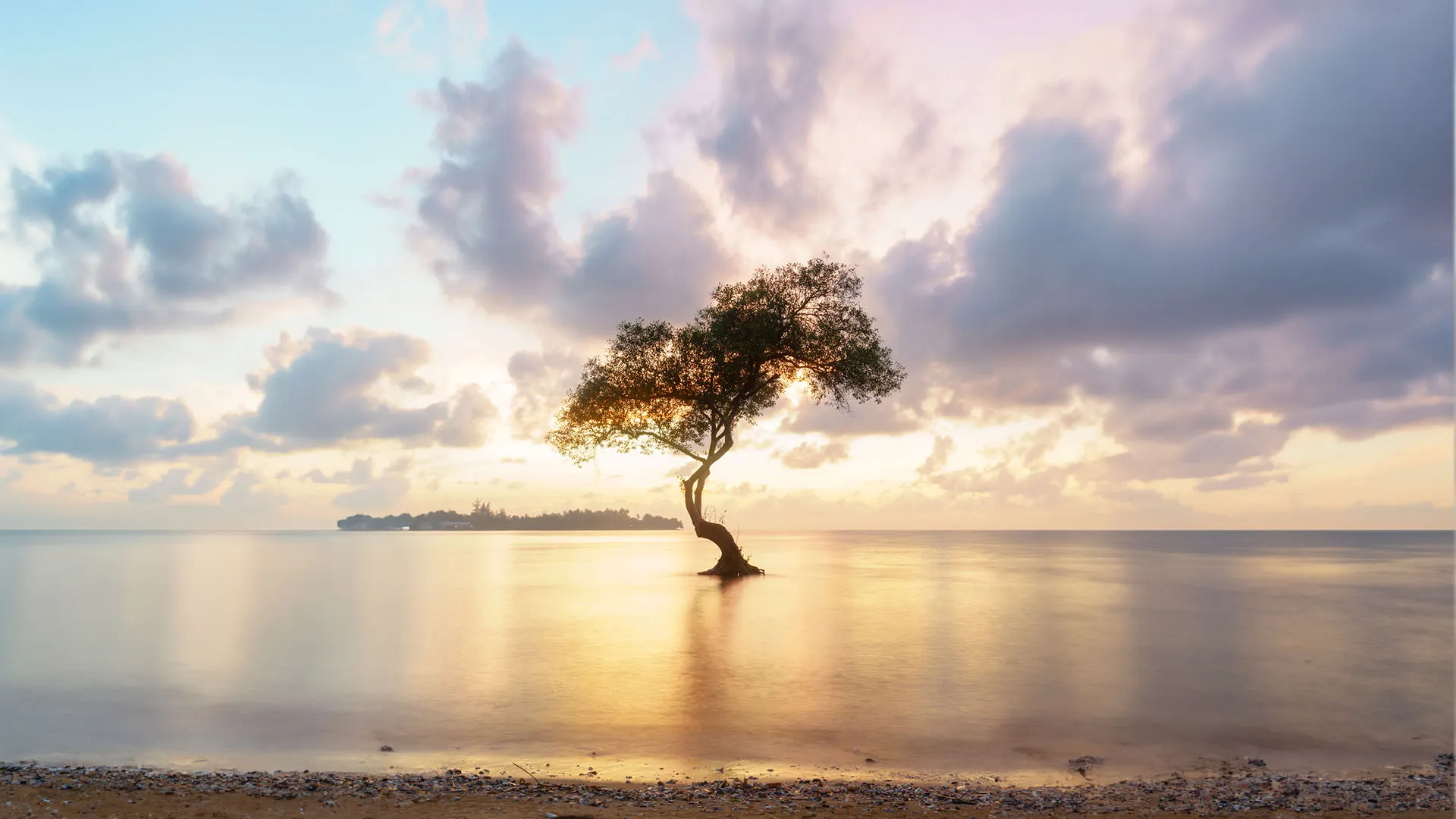 https://images.dailyom.com/images/INSPO_0814_1920-2025.jpg