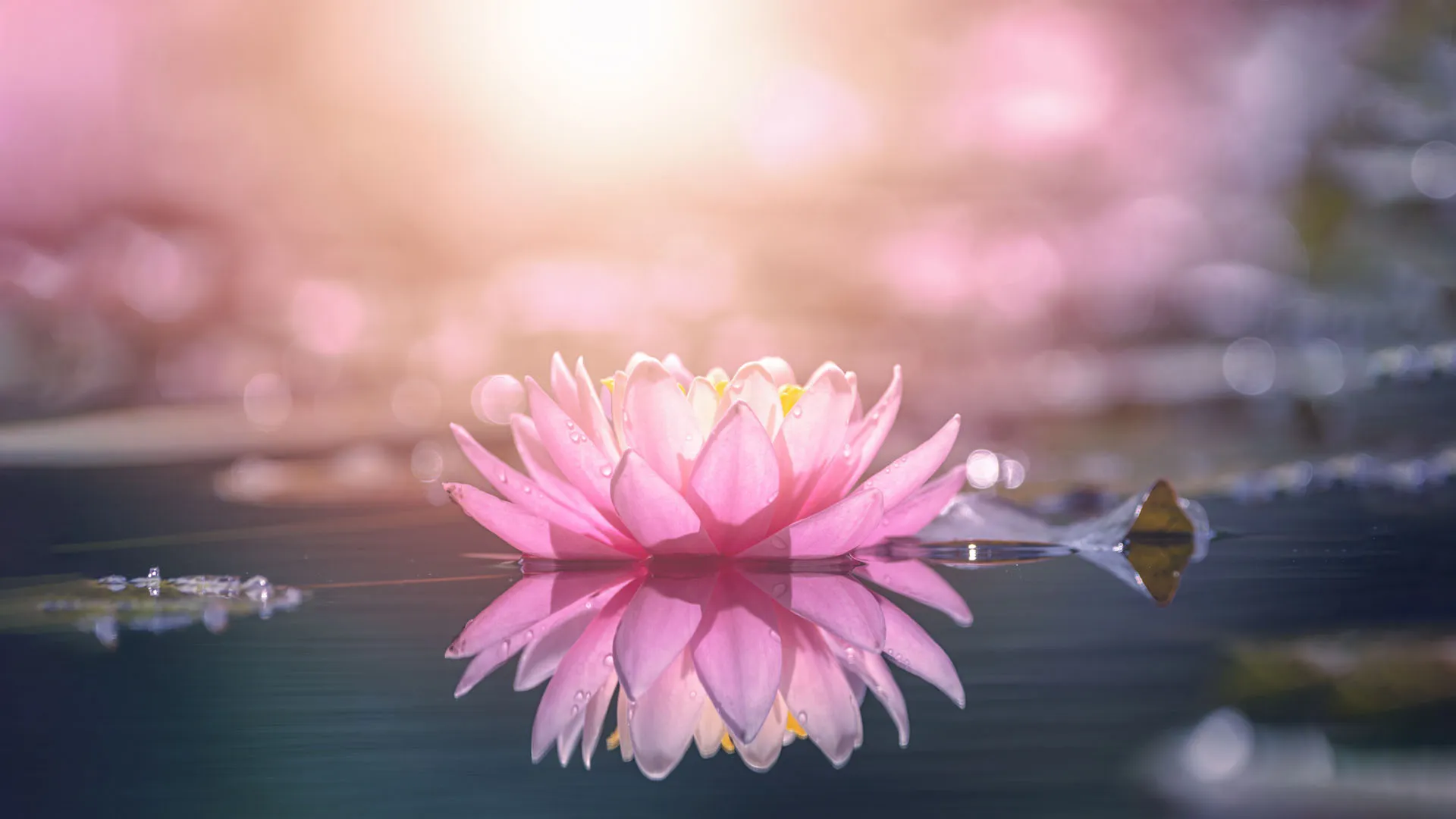 https://images.dailyom.com/images/INSPO_1002_1920-2025.jpg
