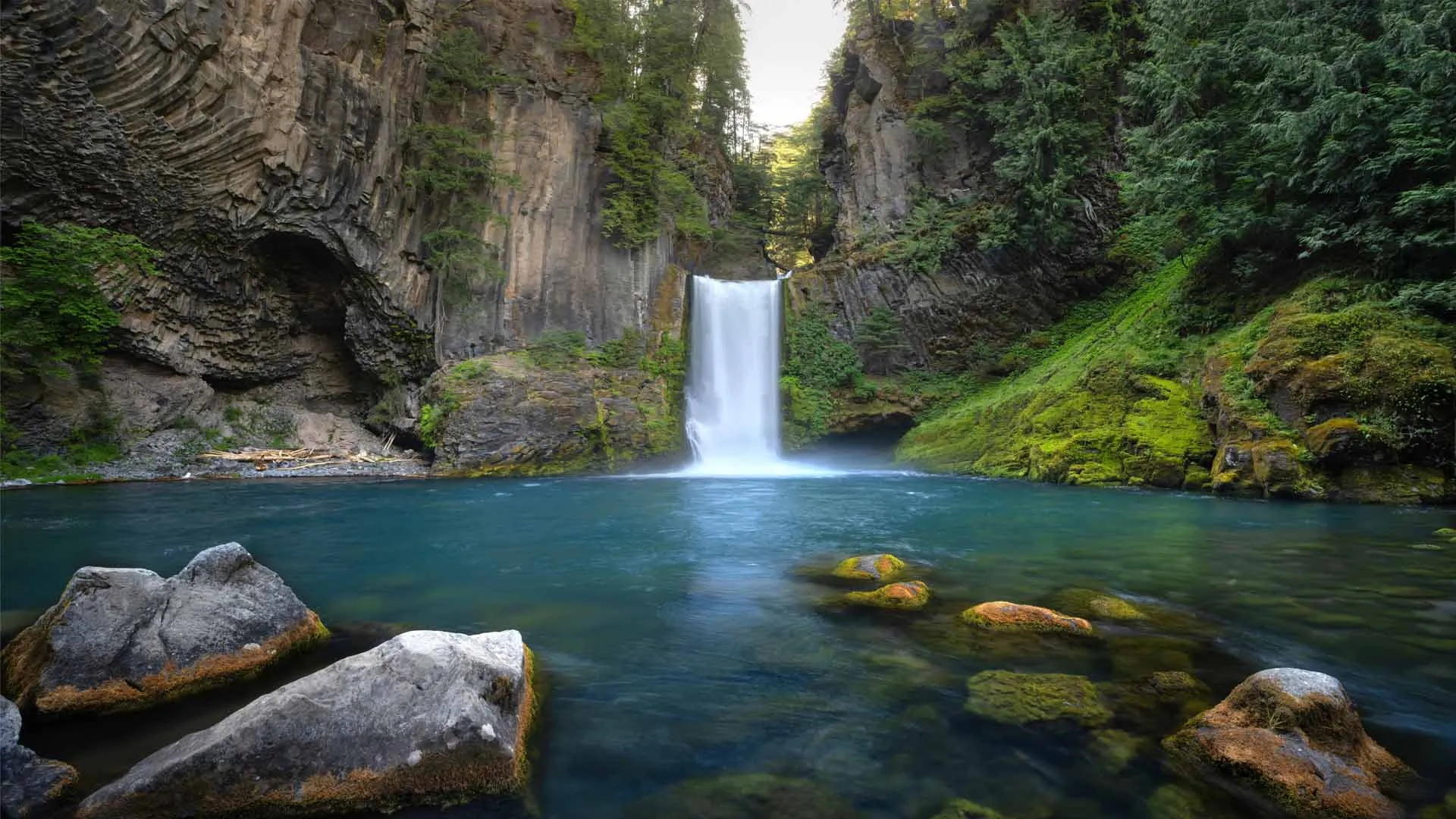 https://images.dailyom.com/images/INSPO_1007_1920-2025.jpg