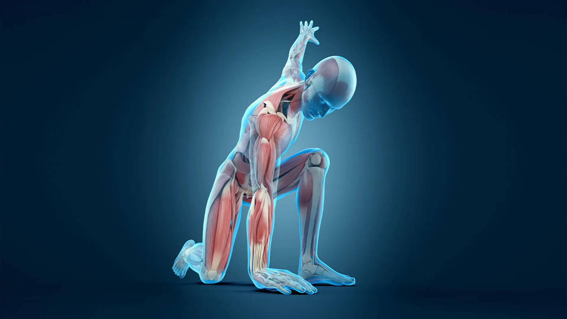 https://images.dailyom.com/images/LP_ActivateEveryMuscleforaStrongerBody_3_1920.jpg