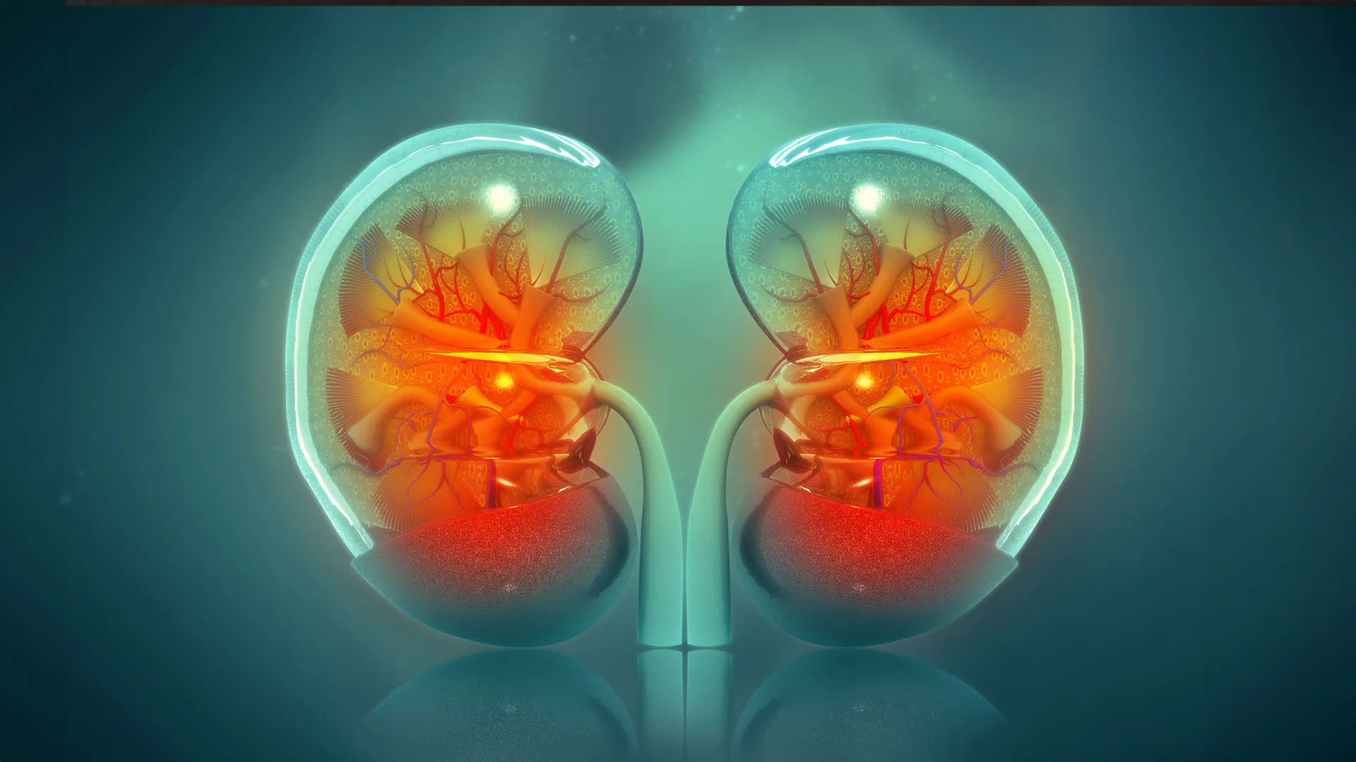 https://images.dailyom.com/images/LP_CortisolDetoxtoReduceYourBiologicalAge_2_1920.jpg
