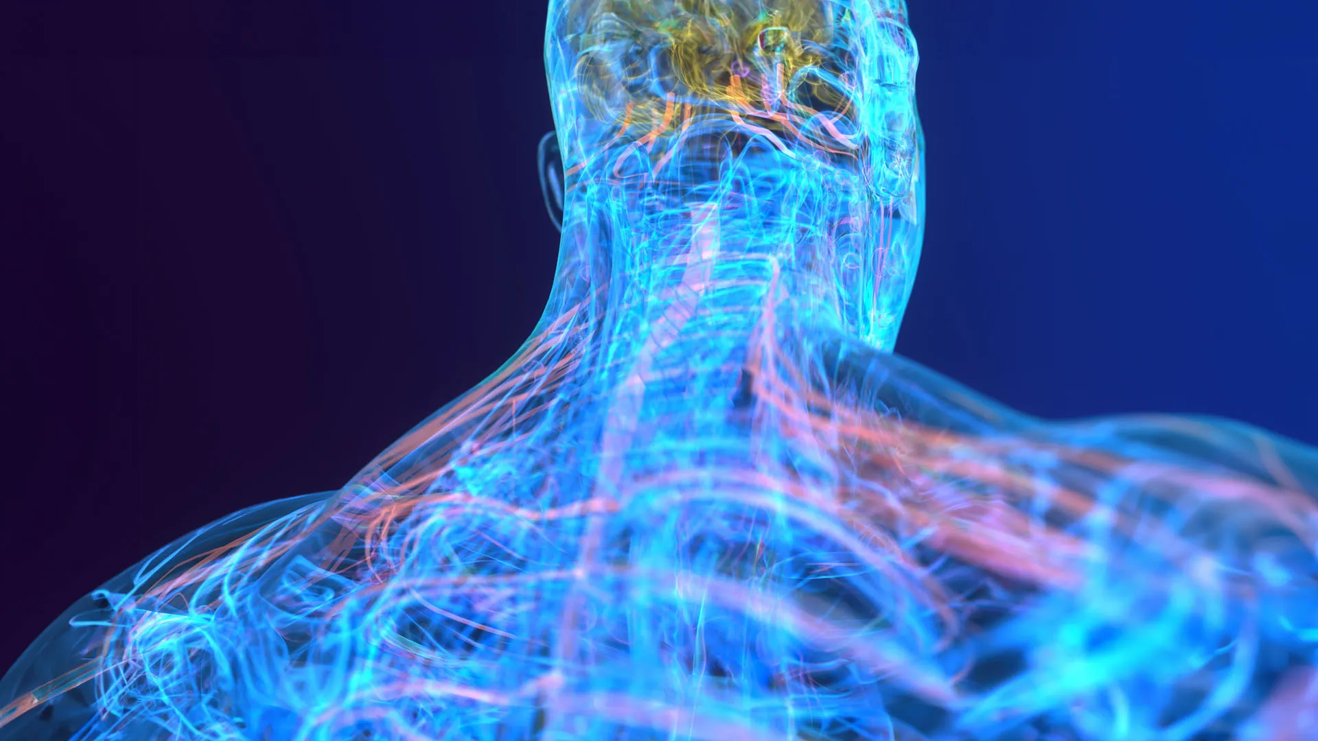 https://images.dailyom.com/images/LP_NerveFlossingtoReduceInflammationandChronicPain_1920.jpg