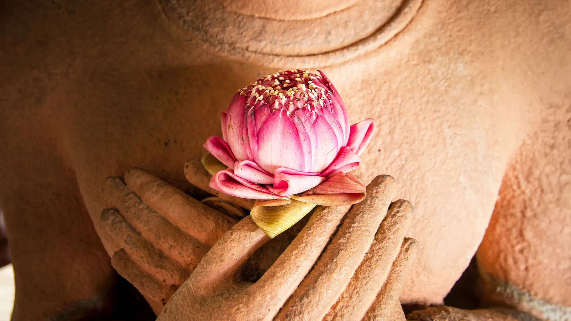https://images.dailyom.com/images/LP_TheBuddhaWaytoTrusttheBody'sHealingPowers_1920.jpg