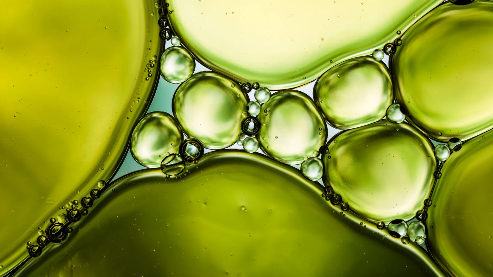 https://images.dailyom.com/images/LP_TheTripleDetox.NaturallyGetRidofMoldParasitesandHeavyMetals_2_1920.jpg